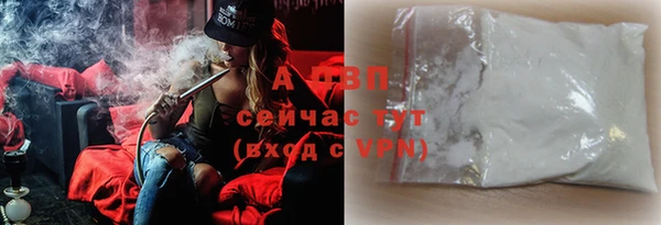 сатива Чита