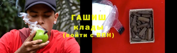 сатива Чита